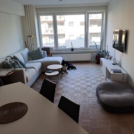 Mooi In Oud Berchem Antwerp